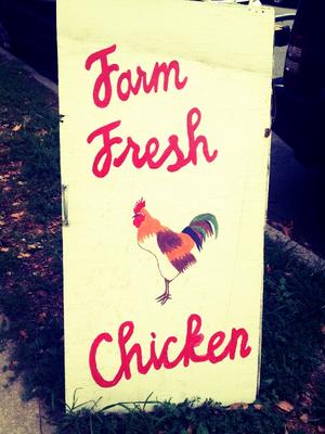 Farm Fresh Chicken sign for an organic food locavore farmers market. By 4 Walls.
