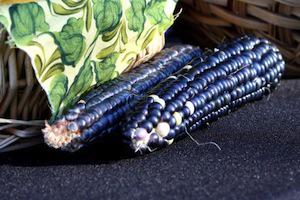 Public Domain. (From http://www.photos-public-domain.com/2010/10/30/blue-corn/). Blue corn, corn, local, locavore, organic, farm, farmers, market.